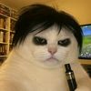 user6161352229822