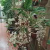 mai.thanh340