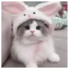 ailey_cutiee