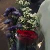 xna_alxxa