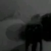 naughtyyyp