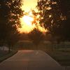 drsherryranch