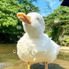 ducky_swimy