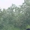 h_an.k7