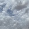 mo_2351