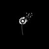 andre_02214