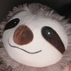 vxy_vampbackupac