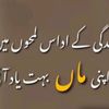 anasnazir625
