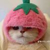 wandi1111110