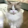 bbebii81