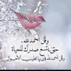 assia.paloma