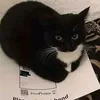 myyyycooonn