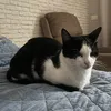 dddxnoff