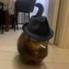 nairobidiariesgram