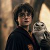 malenkiy_gryffindores