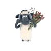 .sheepyshaun