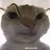 vantuanninh78