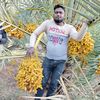 md.habibullah13