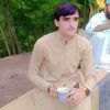 shakeelgull38
