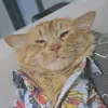 le.chatx.simba