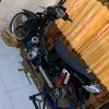 04dugong