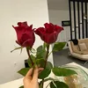 sumaya.yasin8