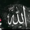 user9952077856660
