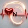 noormohamed7104