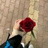 roaa.ma4