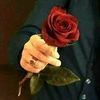 user8156987581478