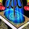 sha.ali06