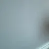 chant_tell01