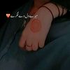fawad.vicky.3