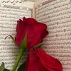 user7977318368577