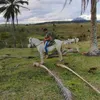 bragaa.lindoook