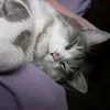 mari.kim589