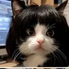uchinoneko0314