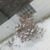 trent_1234877