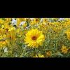 lidia.colque80
