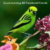 user13475918498483