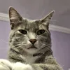 tatiane7392