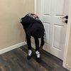 yung_moroco68
