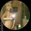 axellopez.lopezer
