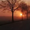 phantastic110