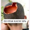 amsal.71619