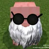 setkcheviemctee