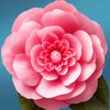 daya.rathna5