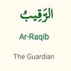 roqeeb.01