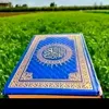 user4150159251811