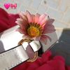 douaa52115